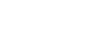 Estonian Festival Orchestra Logo